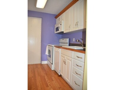 26 Waverly St unit 310, Brighton, MA 02135 - photo 6