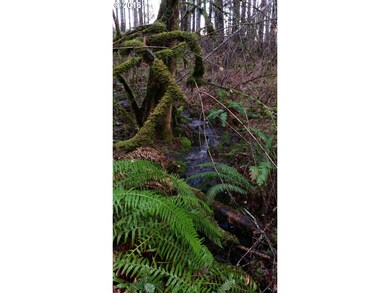 0 Violet Dr unit 100, Sheridan, OR 97378 - photo 7