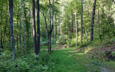 Additional View