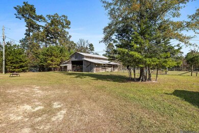 32028 N Doyle Rd, Holden, LA 70744 - photo 5