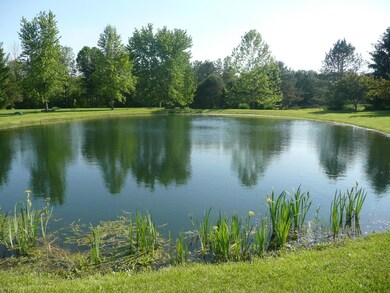 1/2 acre Pond!
