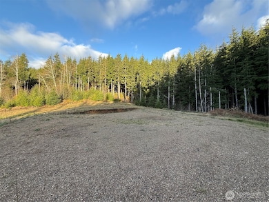 92 Dionne Ln, Naselle, WA 98638 - photo 7