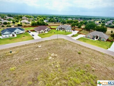 250 Sand Flat Ln, Temple, TX 76502 - photo 3