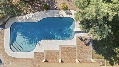 Poolside paradise