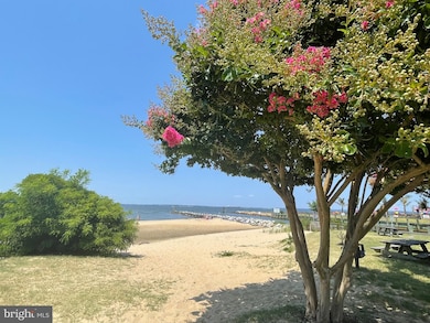 405 Chesapeake Ave, Stevensville, MD 21666 - photo 3