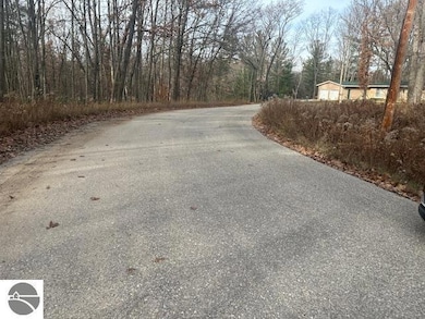 TBD W Shore Dr unit 122, Weidman, MI 48893 - photo 3