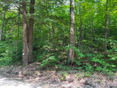 0 Fernwood Farms Rd unit 4985321, Canaan, NH 03741 - photo 2