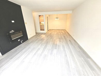 3235 S Manor Dr unit 306, Lansing, IL 60438 - photo 7