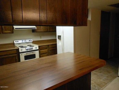 2505 E Evergreen St, Mesa, AZ 85213 - photo 3