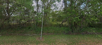 1707 Dill Rd, Bithlo, FL 32820 - photo 3