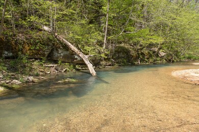 7262 Sinking Creek Rd, Linden, TN 37096 - photo 7