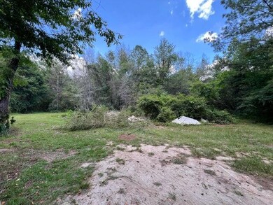 00 S Hwy 43, Columbia, MS 39429 - photo 6