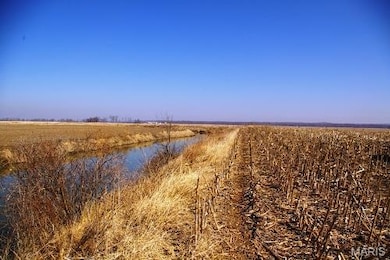 0 Norton Woods Rd unit 17073496, Elsberry, MO 63343 - photo 3