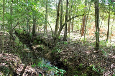 TBD Crooked Creek Rd, Chapin, SC 29036 - photo 6