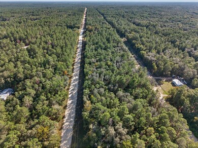 View of property location with a forest
