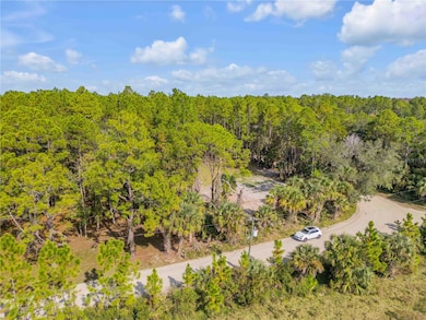 490 S Samsula Dr, New Smyrna Beach, FL 32168 - photo 3