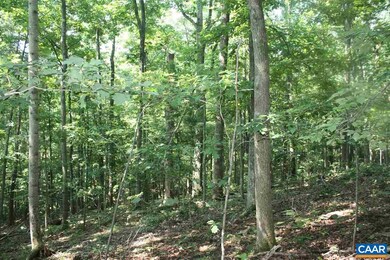 355 Crawfords Climb, Nellysford, VA 22958 - photo 6