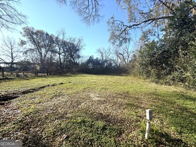 243 W Tate St, Elberton, GA 30635 - photo 5