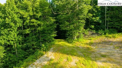 TBD-3 Big Laurel Rd, Creston, NC 28615 - photo 6