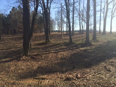 Lot has been cleared except for mature trees. 