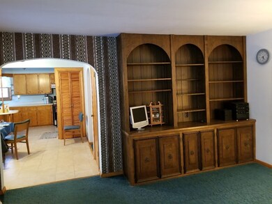 Living Room Builtins