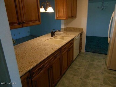 New kitchen cabinets and granite counter