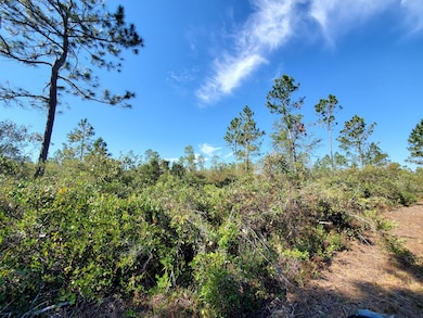 0 SW Wire Rd, Lee, FL 32059 - photo 3