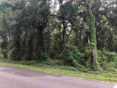 xx Purify Bay Rd, Crawfordville, FL 32327 - photo 3