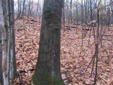 1014 Monument Hill Rd, Castleton, VT 05735 - photo 2