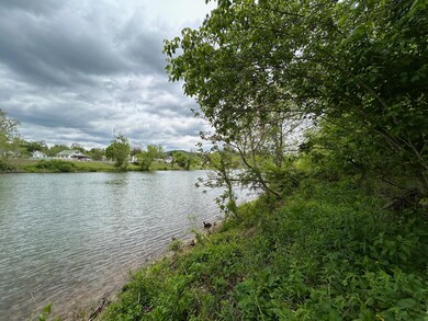 IMG_0818