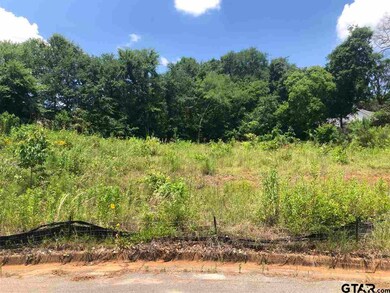 1243 Rainmaker, Tyler, TX 75703 - photo 4