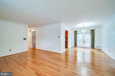 5821 Dewey Dr, Alexandria, VA 22310 - photo 7