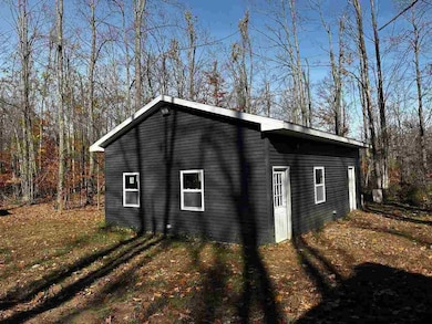 16762 N Sunshine Trail, Vanderbilt, MI 49795 - photo 7