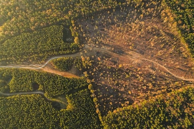 0 Sand Hill Rd unit 11389907, Brandon, MS 39047 - photo 2