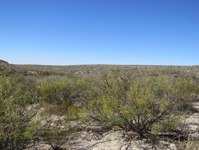 Indian Water Hole Ranch Tract 30, Dryden, TX 78851 - photo 5