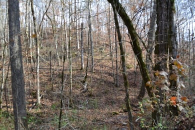 6.70ac Wet Mill Creek Rd, Celina, TN 38551 - photo 5