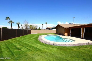 Backyard2