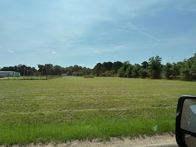 1194 U S Hwy 82-Parcel B, Georgetown, GA 39854 - photo 7