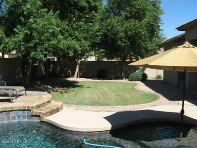 Grass Play Area in Backyard