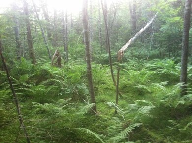 136 Sodom Rd, Center Tuftonboro, NH 03816 - photo 7