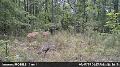 unlisted-address, Panola, OK 74578 - photo 5