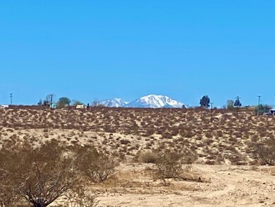 IMG_0273