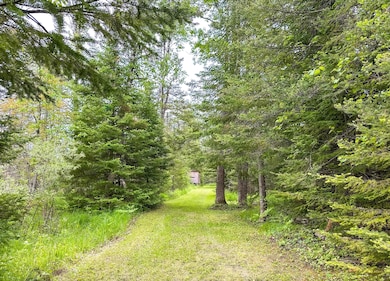 Piper Rd, Ossineke, MI 49766 - photo 4