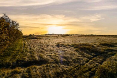 Tbd Cr 218, Gainesville, TX 76240 - photo 6