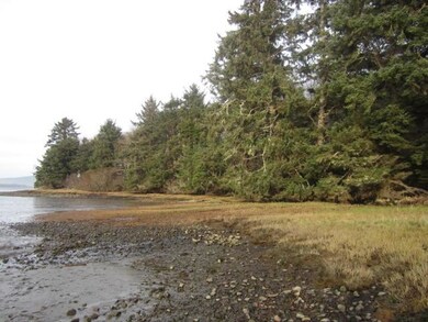 View north from shore