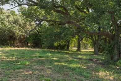 TBD Overton Ct, Granbury, TX 76048 - photo 7