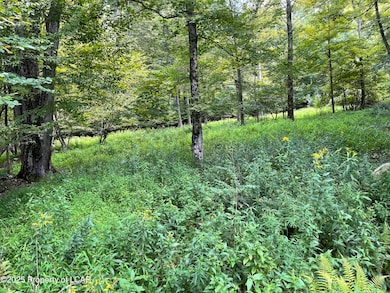 1 Pennsylvania 29, Shavertown, PA 18708 - photo 6