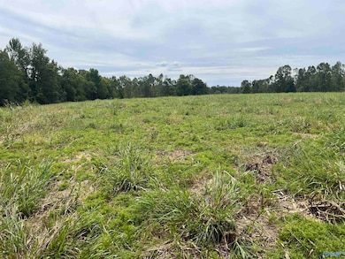 12 Holland Rd, Athens, AL 35614 - photo 2