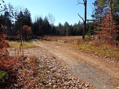 00 Fisher Rd, Roxbury, VT 05669 - photo 4