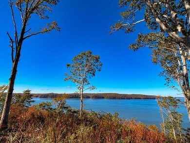 4 Lake Bend Shores, Florence, AL 35633 - photo 4